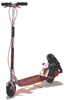 Custom Sport - Call for Price! Too Low to advertise (image for) Custom Sport - Call for Price! Too Low to advertise